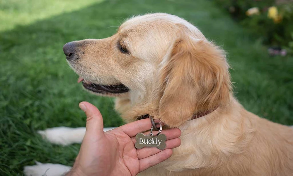 Image default